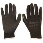 500921551_1 500921551_1