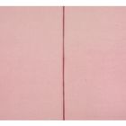 Cabecera-Milan-Rosa_4.jpeg