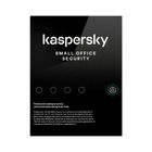 Kaspersky-Small-Office-Security-1-100.jpg