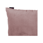 BELEM-6060-SALM.2.png
