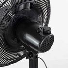 501195030_05.jpg 501195030_05.jpg