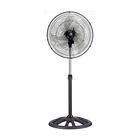 501195032_01.jpg 501195032_01.jpg