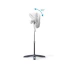 501195048_05.jpg 501195048_05.jpg