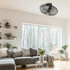 501195050_05.jpg 501195050_05.jpg