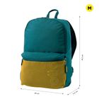 image-2ff8e2e04e144a0ab2da7ff818e37e0f