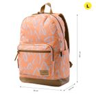 image-e79874f683b64d2c89c3bce2a7f4ea6c