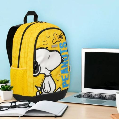 501196098_01.jpg 501196098_01.jpg