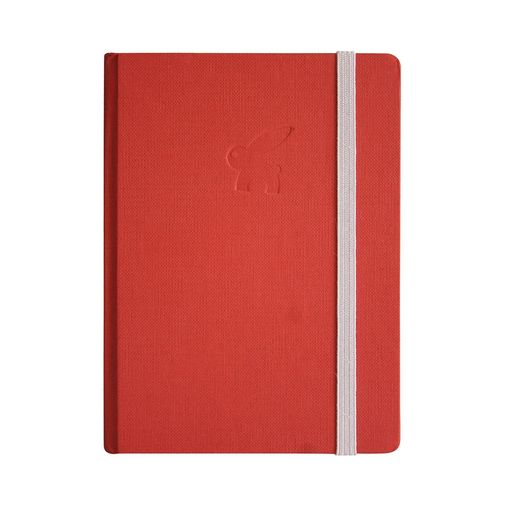 501191411_01.jpg 501191411_01.jpg