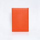 agenda-2026-cavalier-clasica-india-naranja-7416202218748