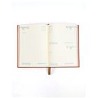 agenda-2026-cavalier-premium-diaria-ilamatepec-cafe-7416202218342