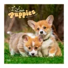 calendario-2026-puppies-9798330705283