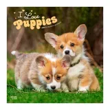 calendario-2026-puppies-9798330705283