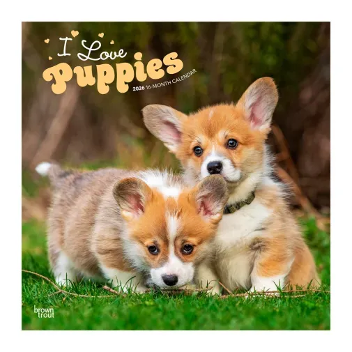 calendario-2026-puppies-9798330705283 calendario-2026-puppies-9798330705283