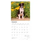 calendario-2026-puppies-9798330705283