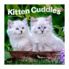calendario-2026-kitten-cuddles-9798330706792