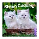 calendario-2026-kitten-cuddles-9798330706792