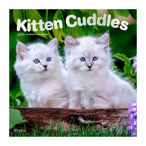 calendario-2026-kitten-cuddles-9798330706792