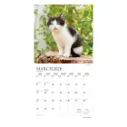 calendario-2026-kitten-cuddles-9798330706792