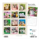 calendario-2026-kitten-cuddles-9798330706792