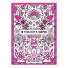 coloreanding-mexico-pasta-blanda-9789877470161