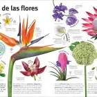 el-libro-de-las-flores-y-los-arboles-pasta-blanda-9780241736807