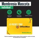 membresia-mascota-individual-5168101