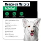 membresia-mascota-individual-5168101