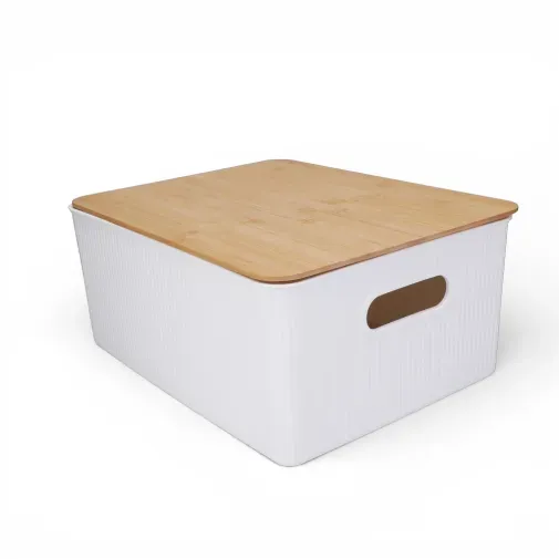caja-organizadora-de-plastico-con-tapa-de-bambu-m-almacenamiento-moderno caja-organizadora-de-plastico-con-tapa-de-bambu-m-almacenamiento-moderno