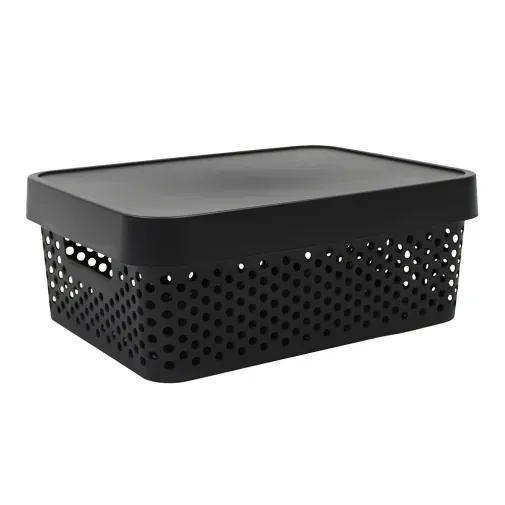 caja_organizadora_paris_con_tapa_11_litros