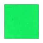 pintura-acrilica-fluorescente-pint-art-985-verde-30-ml-7501858988548