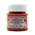 pintura-acrilica-pint-art-912-ladrillo-30-ml-7501858965051