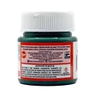 pintura-acrilica-pint-art-506-verde-oxido-cromo-30-ml-7501858951351