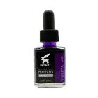 acuarela-liquida-italiana-indart-violeta-30-ml-7501858994037