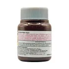 pintura-acrilica-para-tela-acrilex-tierra-quemada-37-ml-7891153041346