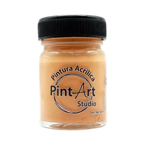 pintura-acrilica-roel-pintart-studio-300-carne-30-ml-7501858951542