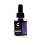 acuarela-liquida-italiana-indart-041-lila-30-ml-7501858993955