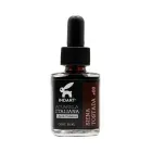 acuarela-liquida-italiana-indart-088-siena-tostada-30-ml-7501858994020