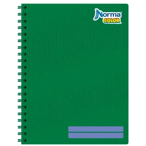 cuaderno-profesional-rayado-norma-100-hojas-7702111200081