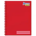 cuaderno-profesional-rayado-norma-100-hojas-7702111200081