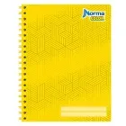 cuaderno-profesional-rayado-norma-100-hojas-7702111200081