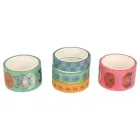 cintas_washi_stuk_pets_5_piezas