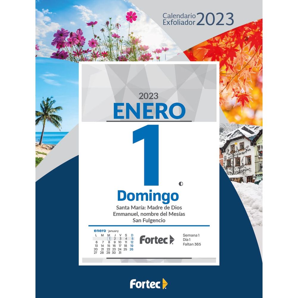 Calendario 2023 Fortec Exfoliador Agendas Y Organizadores Kiosko